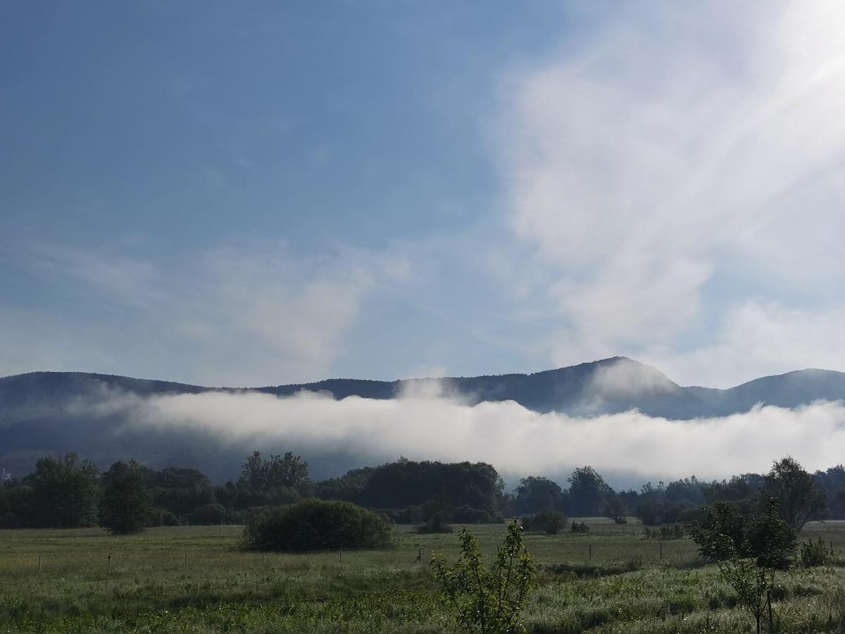 Vila Antik Ilirska Bistrica Εξωτερικό φωτογραφία